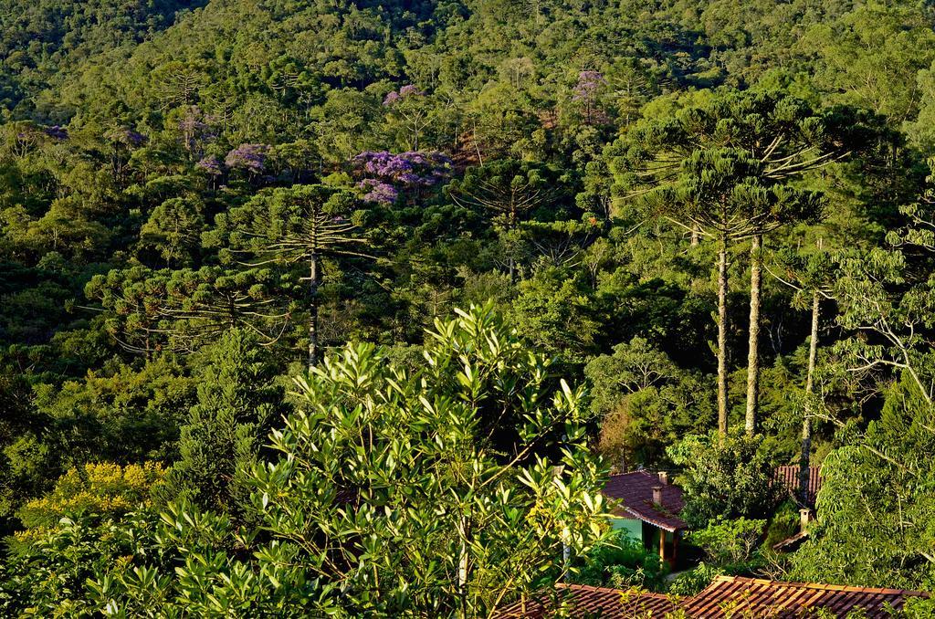 Pousada Das Araucarias Visconde De Maua Luaran gambar