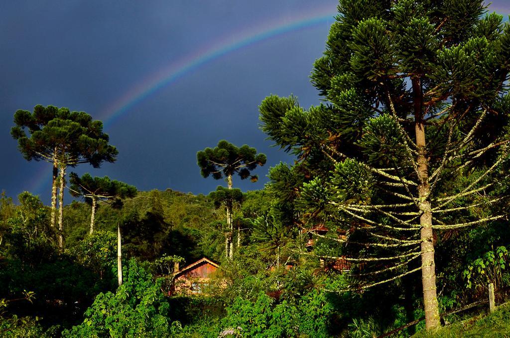 Pousada Das Araucarias Visconde De Maua Luaran gambar